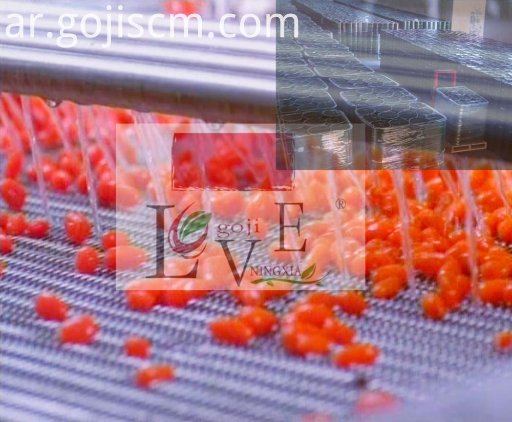 2017 عصير طازج - عصير الحضض 2017 Fresh Juice--Wolfberry Juice